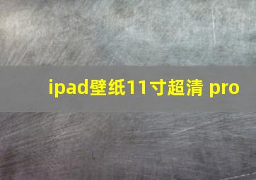 ipad壁纸11寸超清 pro